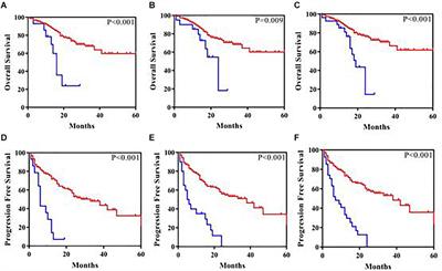 SET Domain Containing 2 Deficiency in Myelodysplastic Syndrome